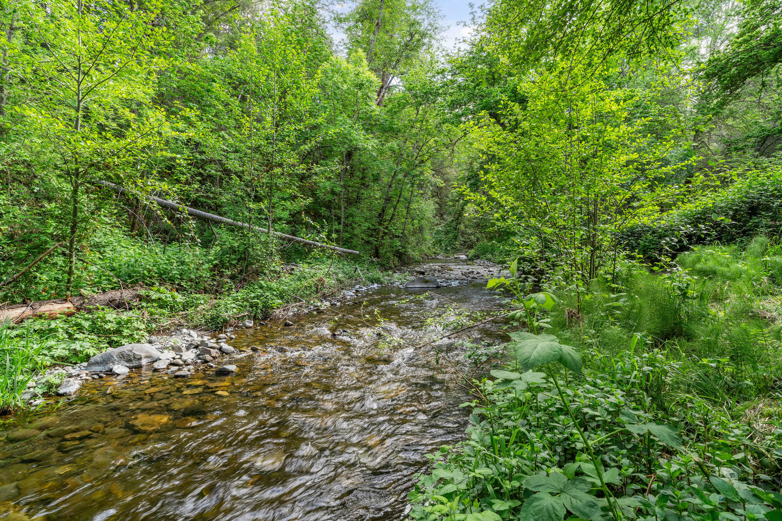 3479 Thompson Creek Road