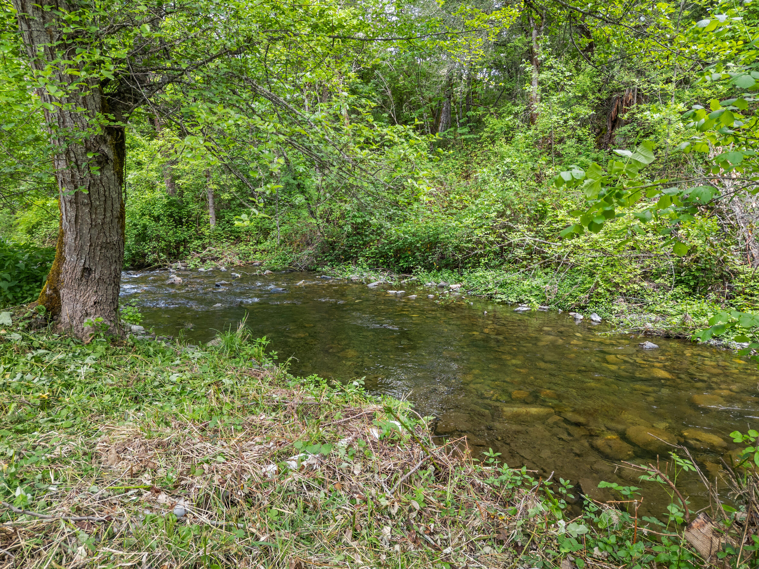 3479 Thompson Creek Road