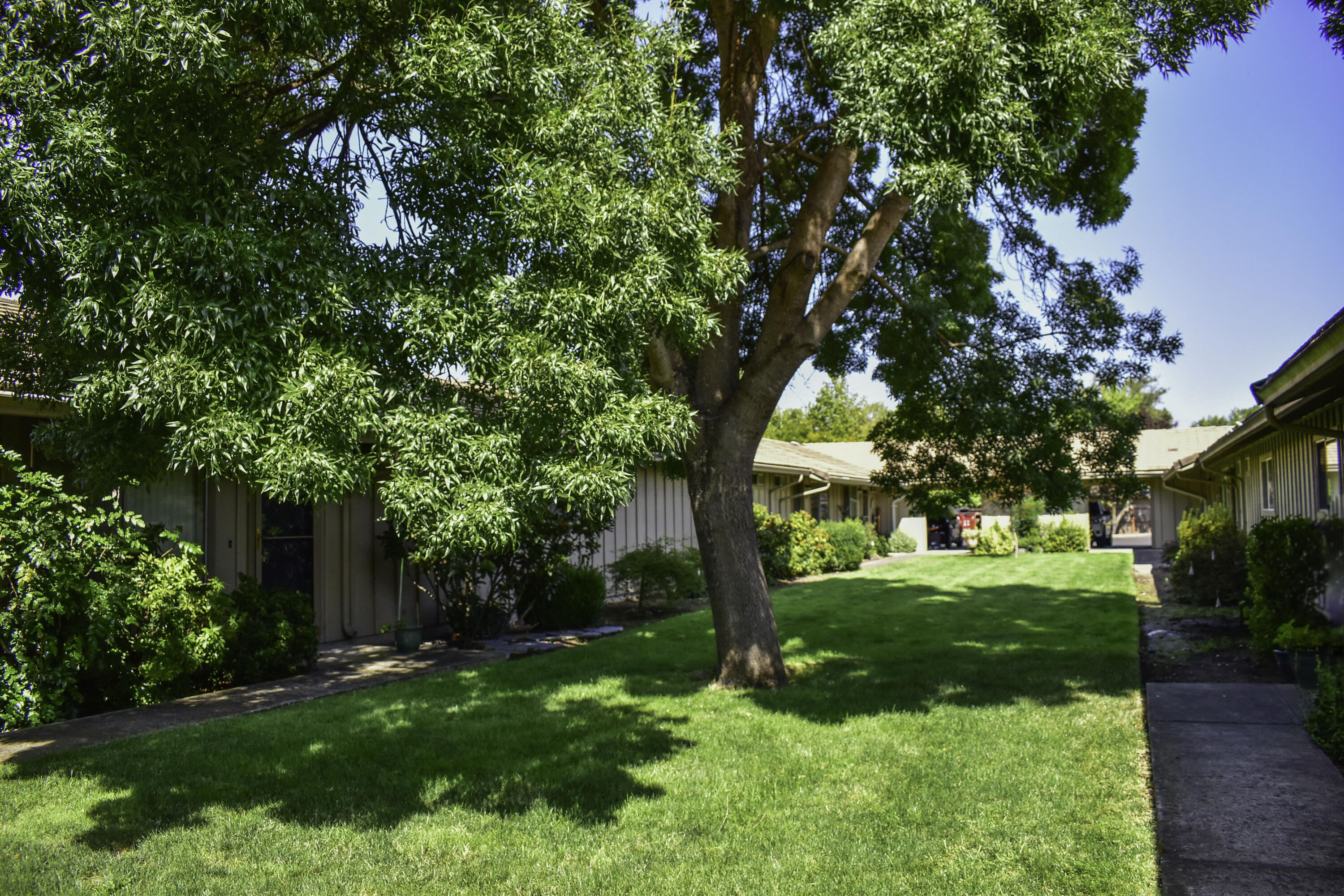 300 Shafer, B4