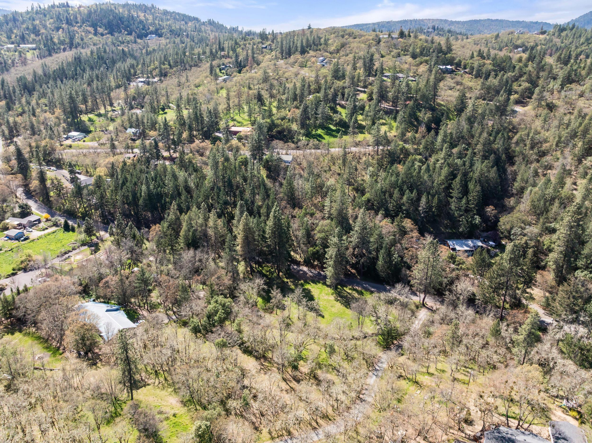 1237 Daisy Creek Road