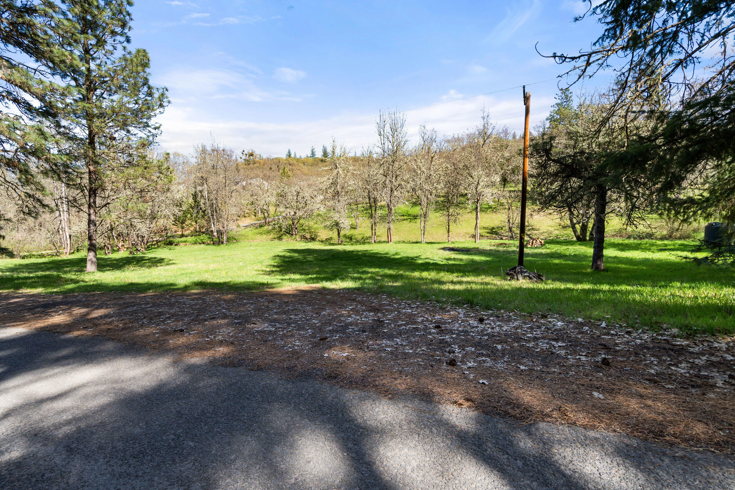 1237 Daisy Creek Road