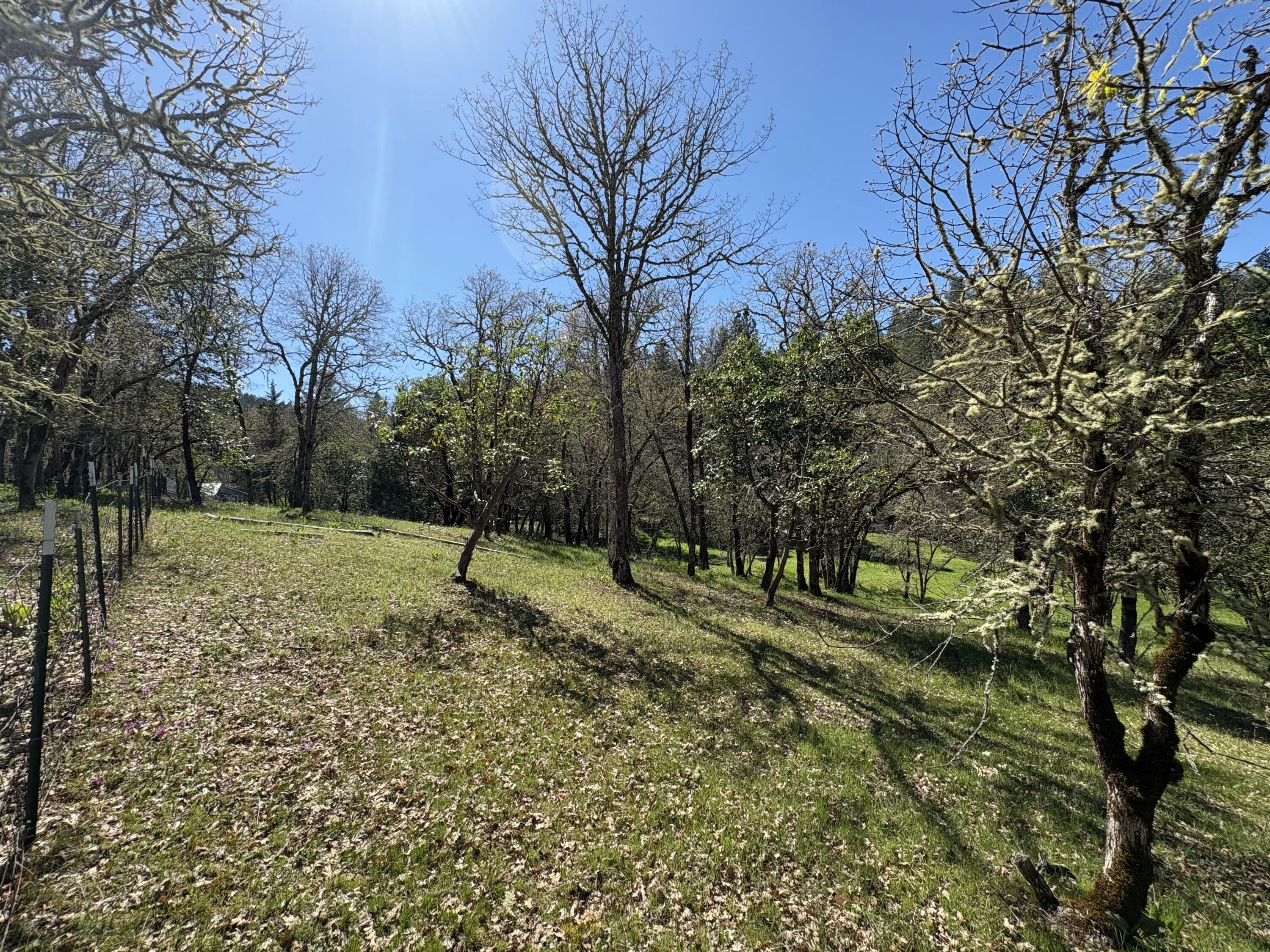 1237 Daisy Creek Road