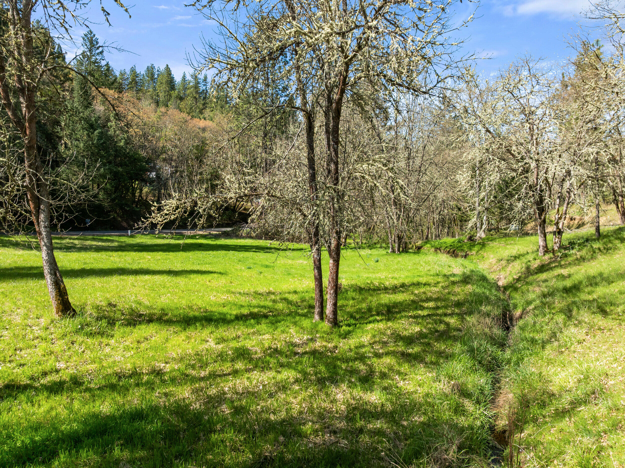 1237 Daisy Creek Road