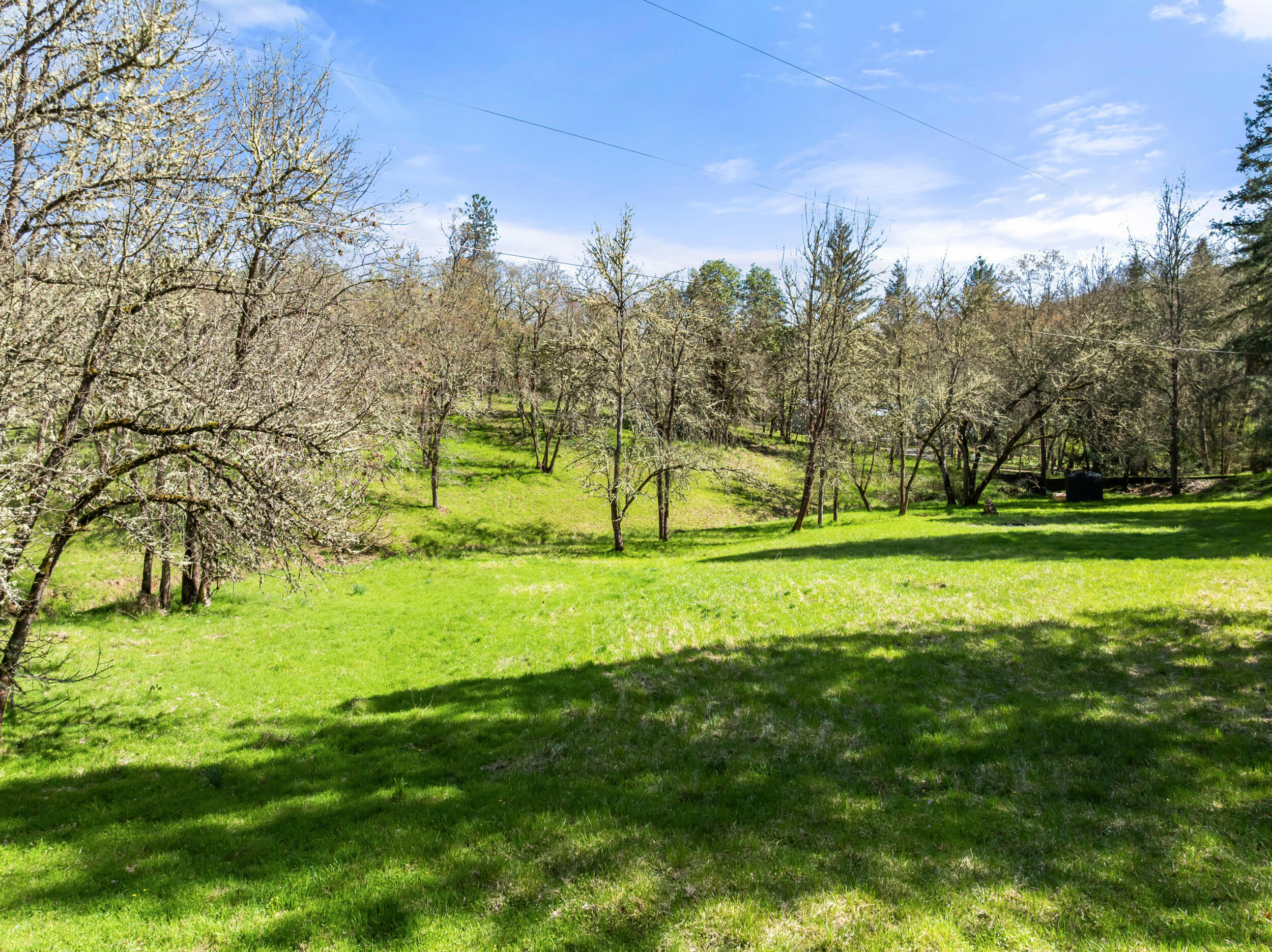 1237 Daisy Creek Road