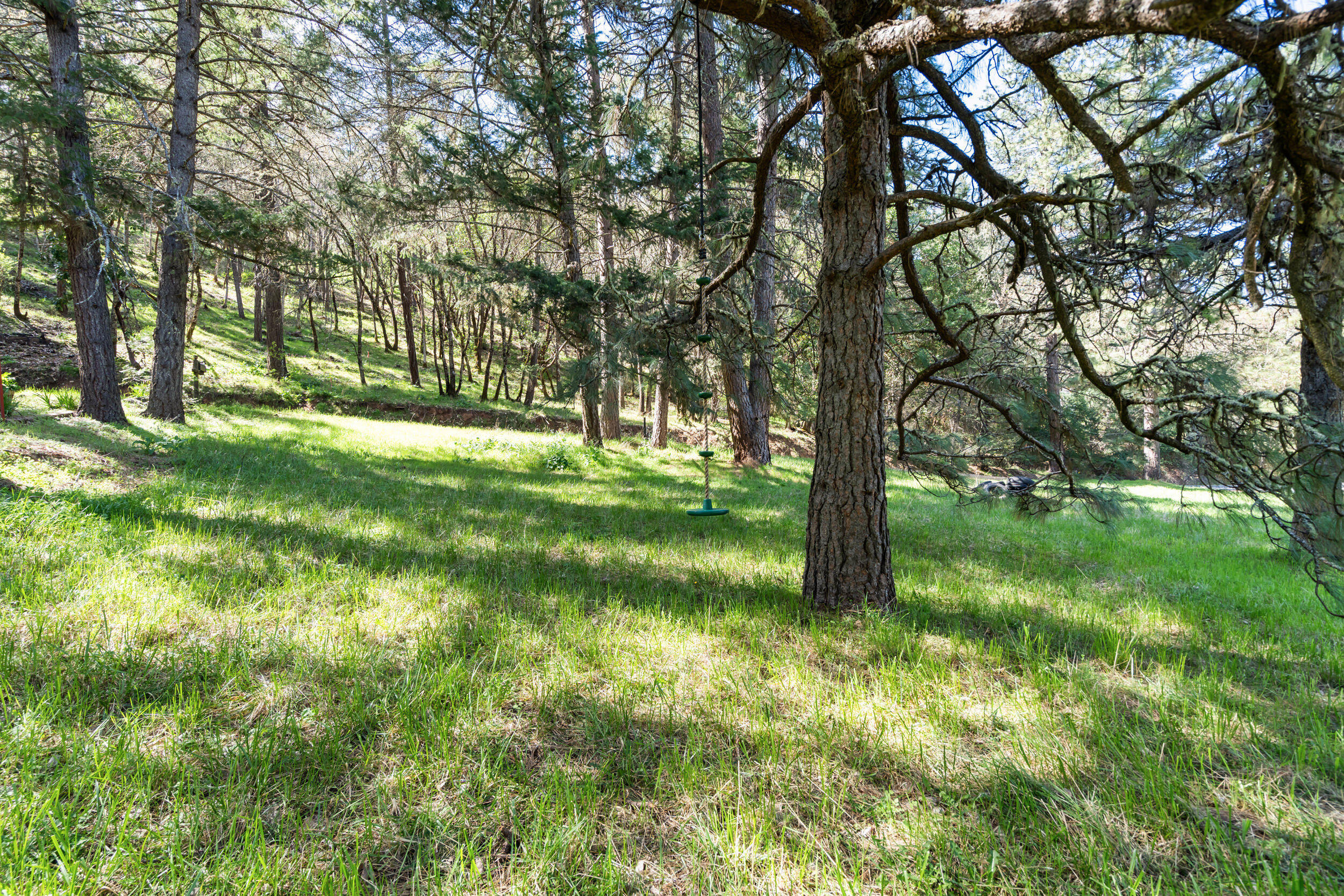 1237 Daisy Creek Road