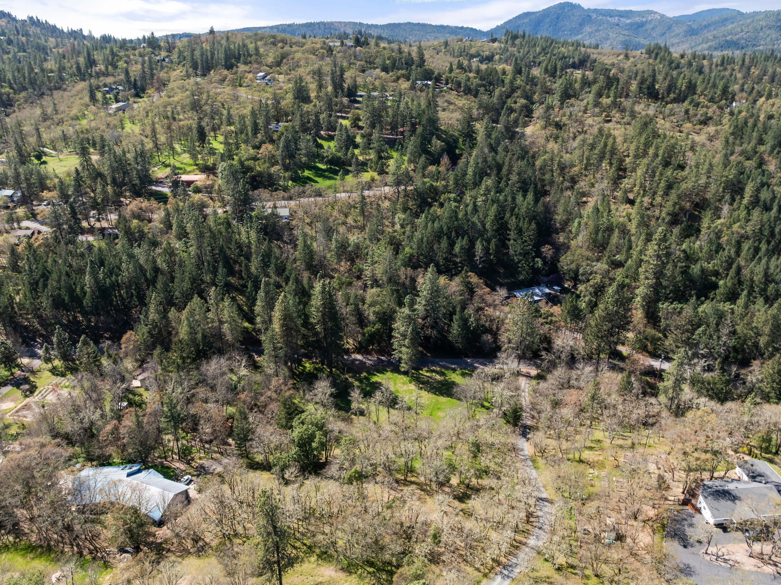 1237 Daisy Creek Road