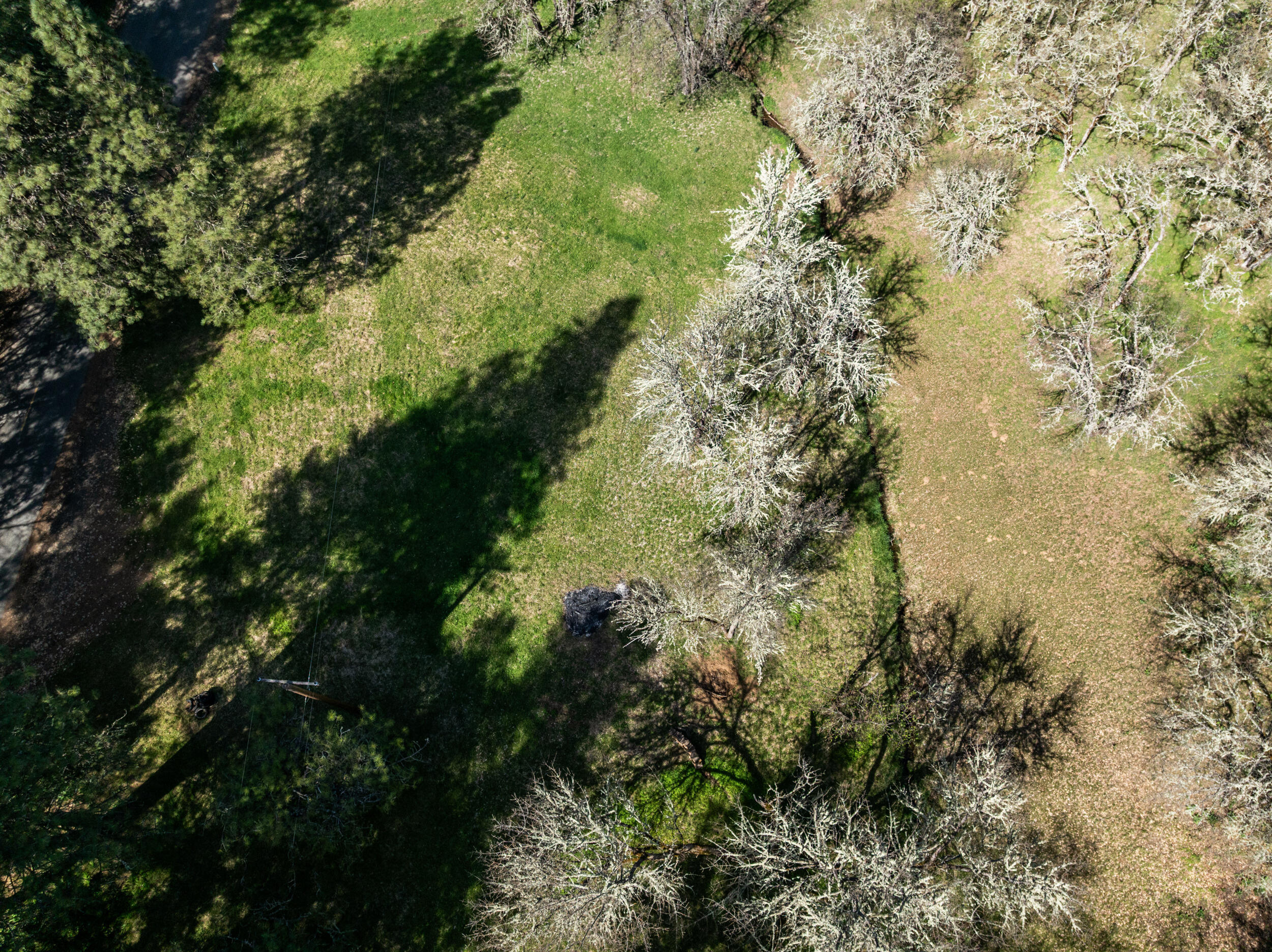 1237 Daisy Creek Road