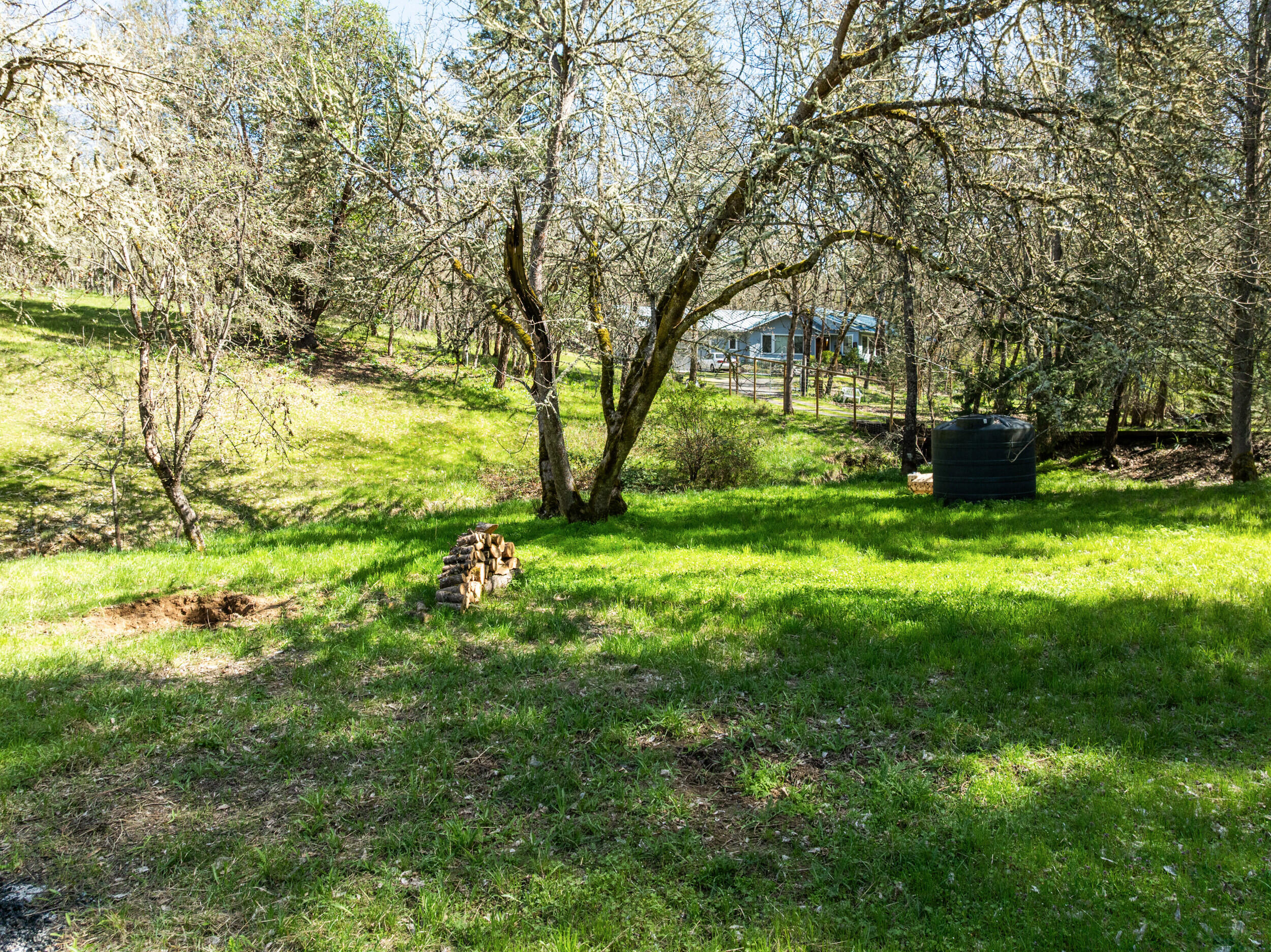 1237 Daisy Creek Road