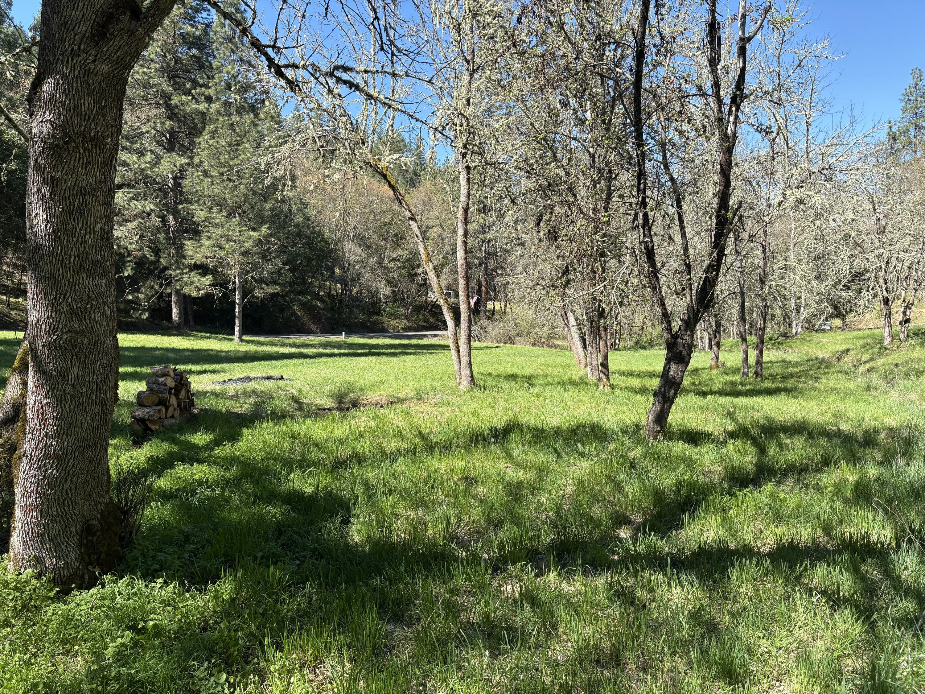 1237 Daisy Creek Road