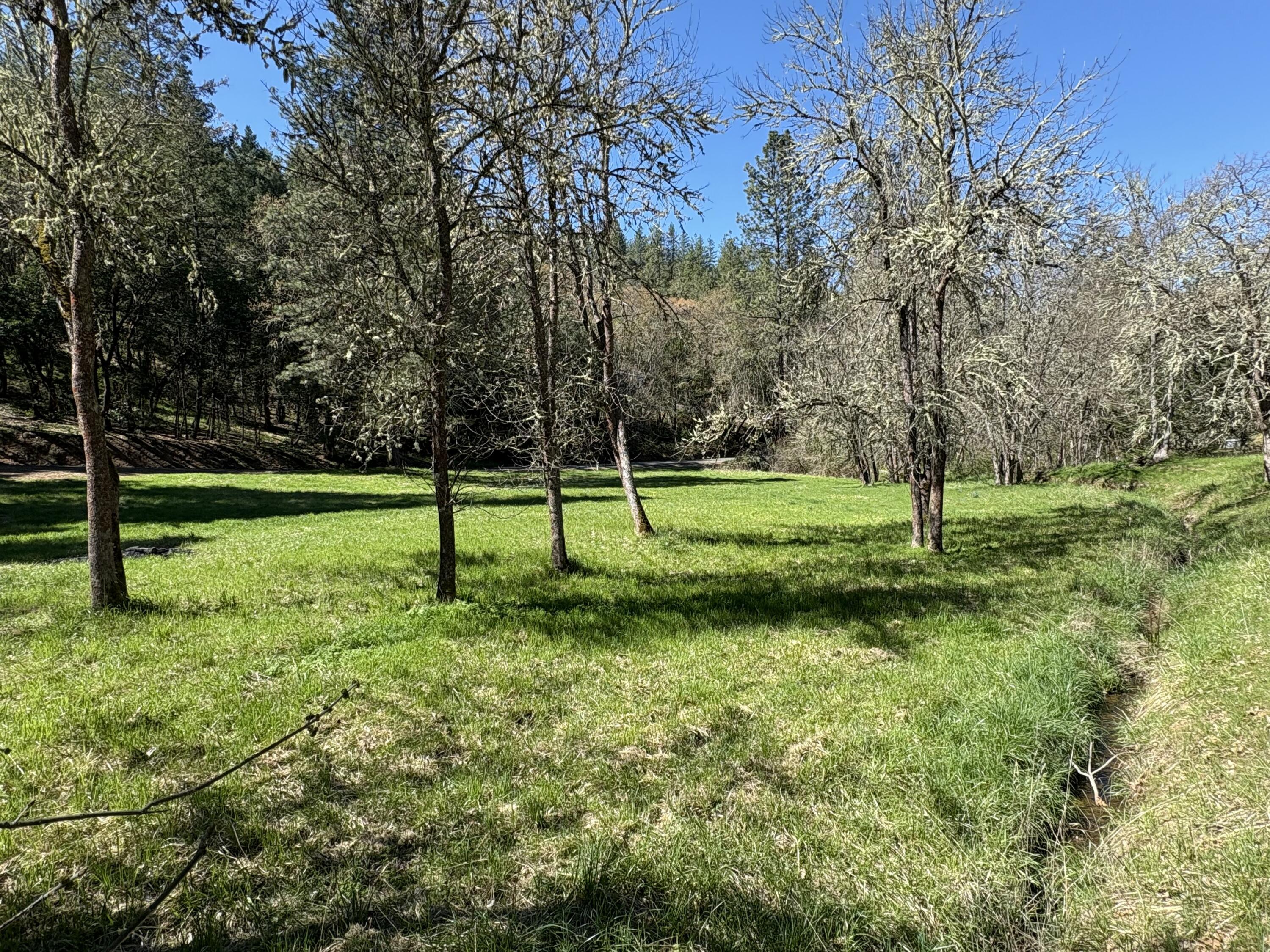 1237 Daisy Creek Road