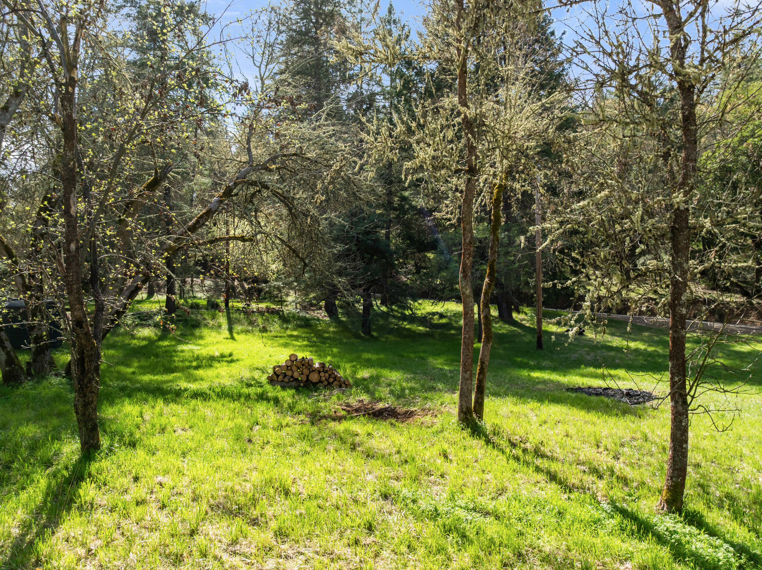 1237 Daisy Creek Road