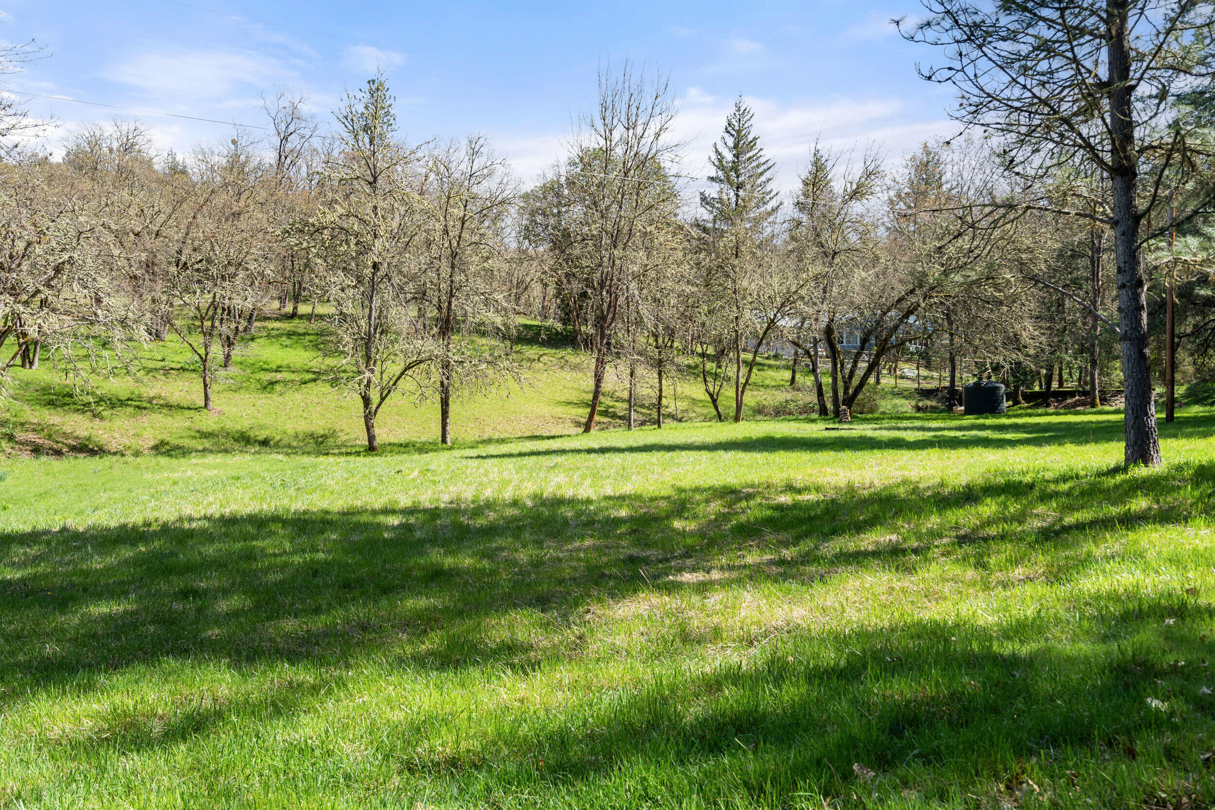 1237 Daisy Creek Road