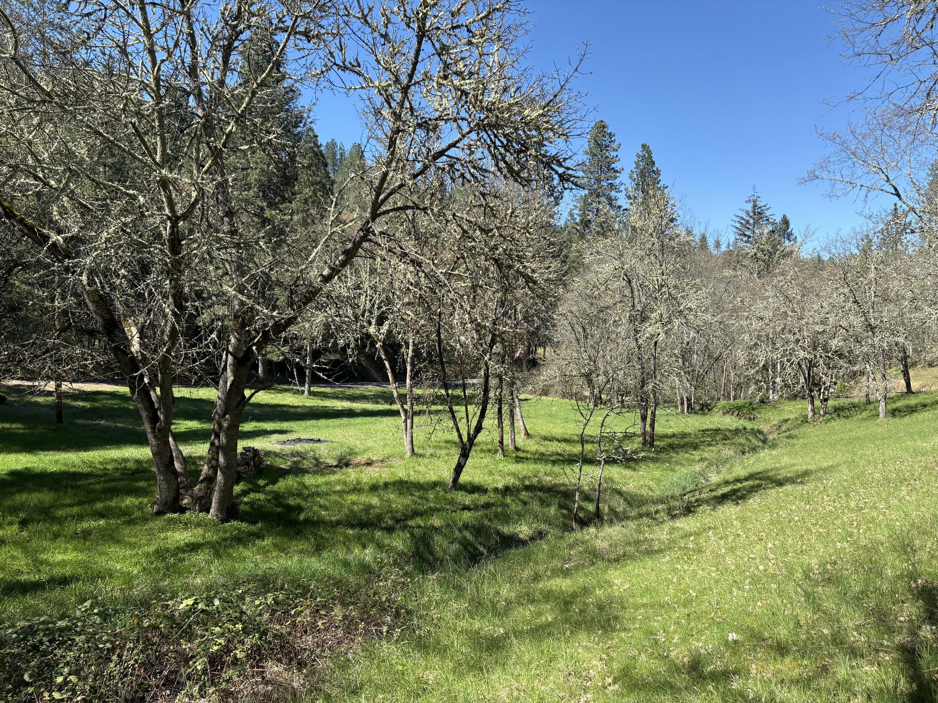 1237 Daisy Creek Road