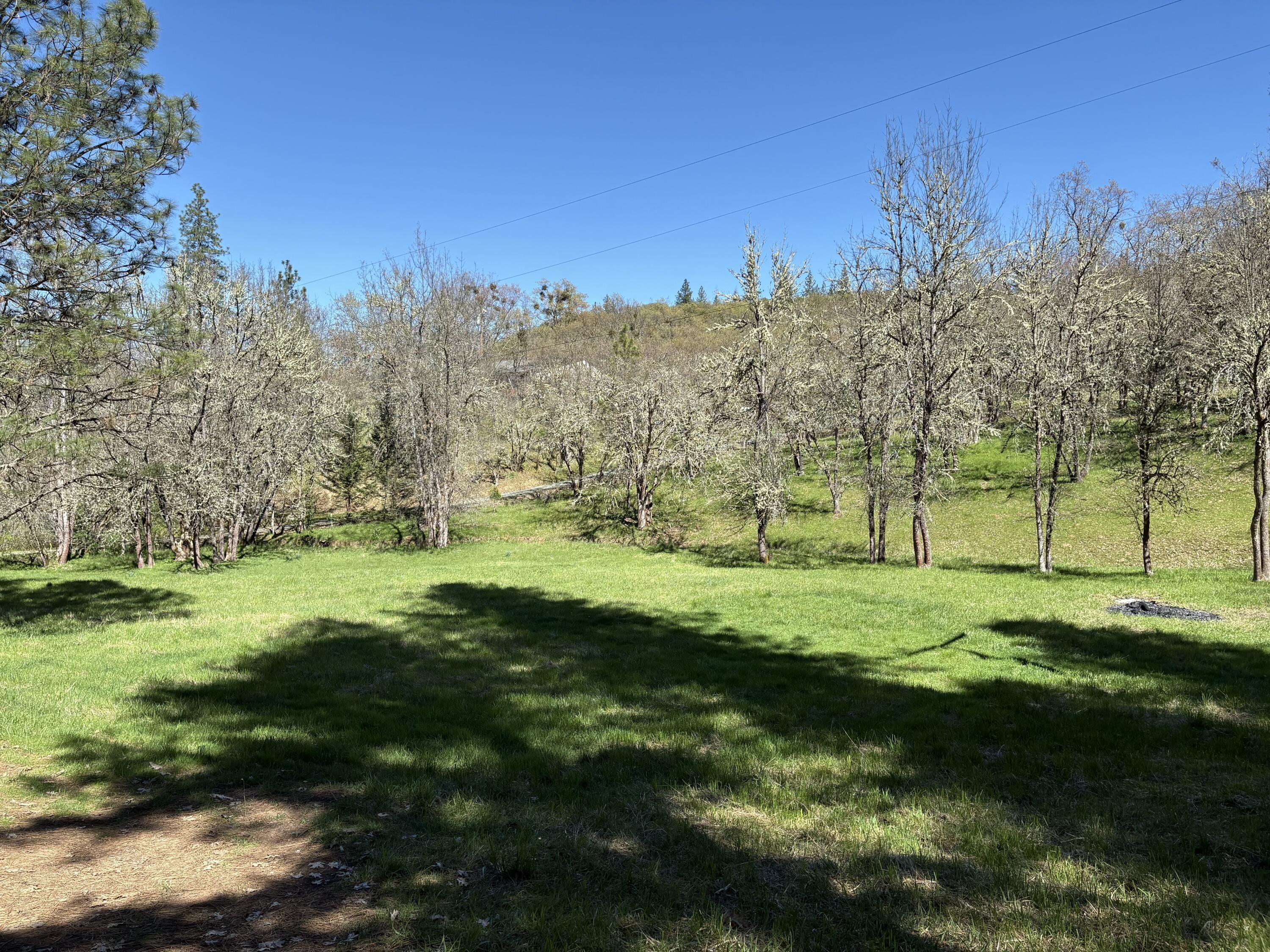 1237 Daisy Creek Road