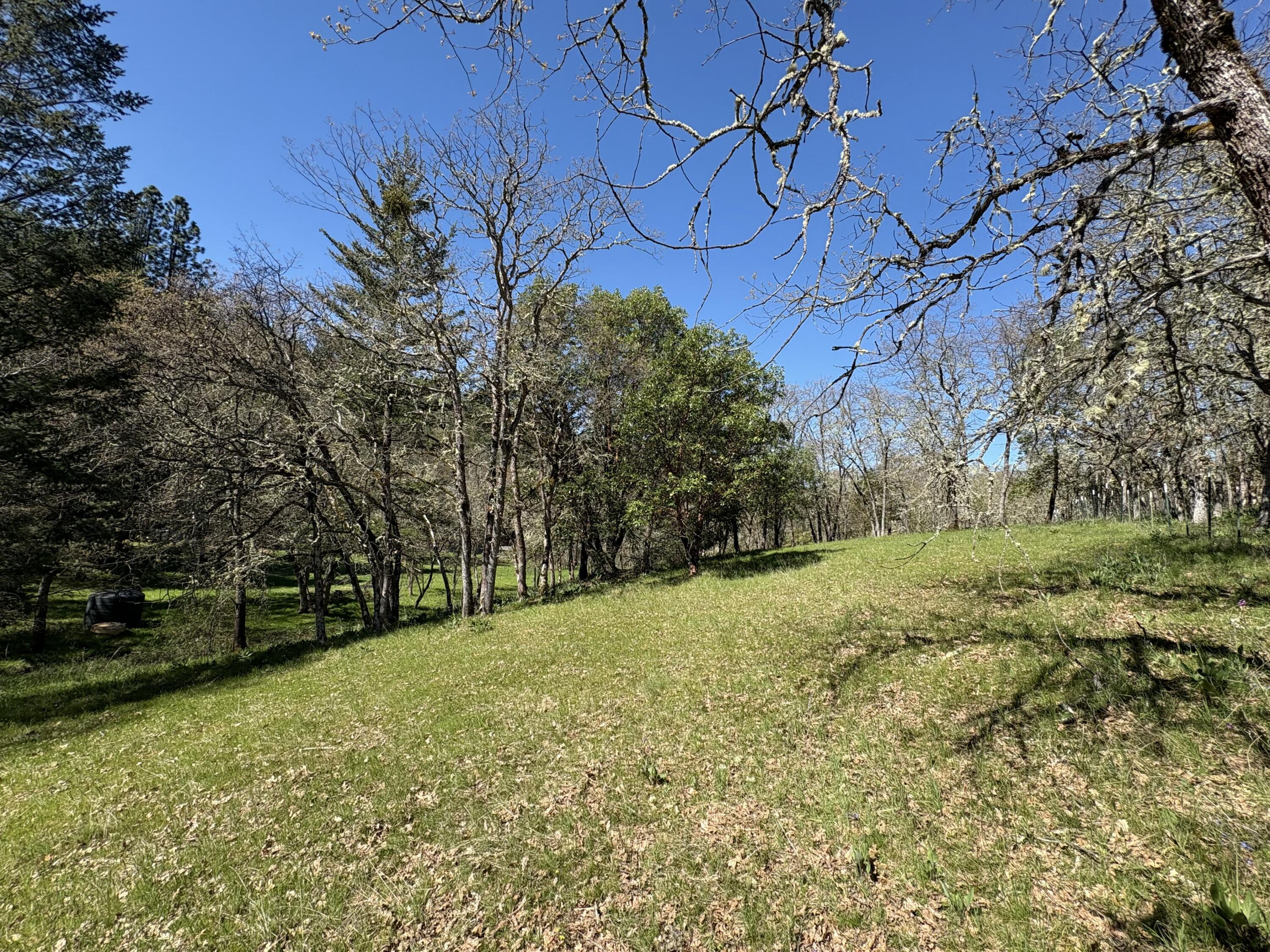 1237 Daisy Creek Road