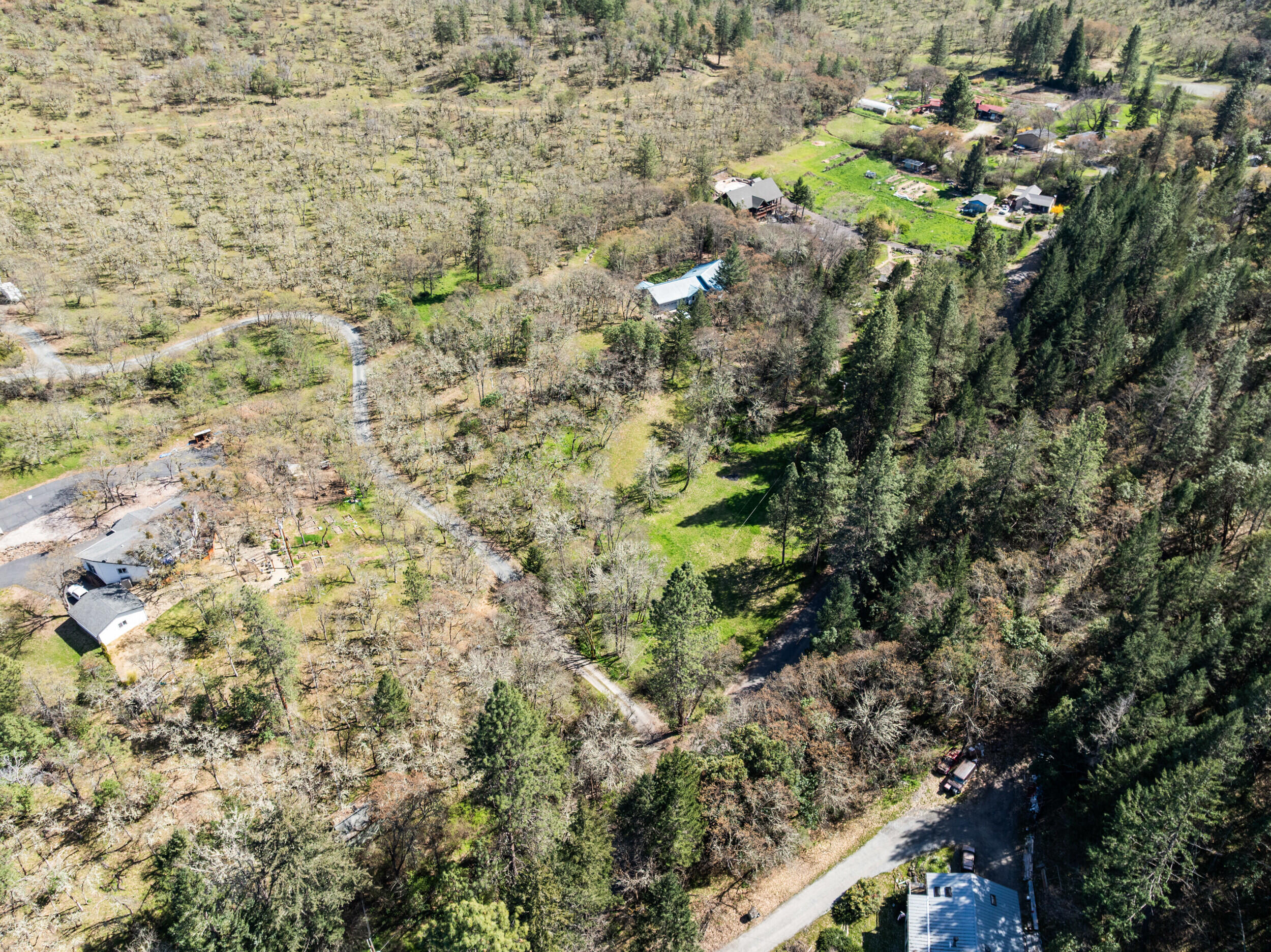 1237 Daisy Creek Road