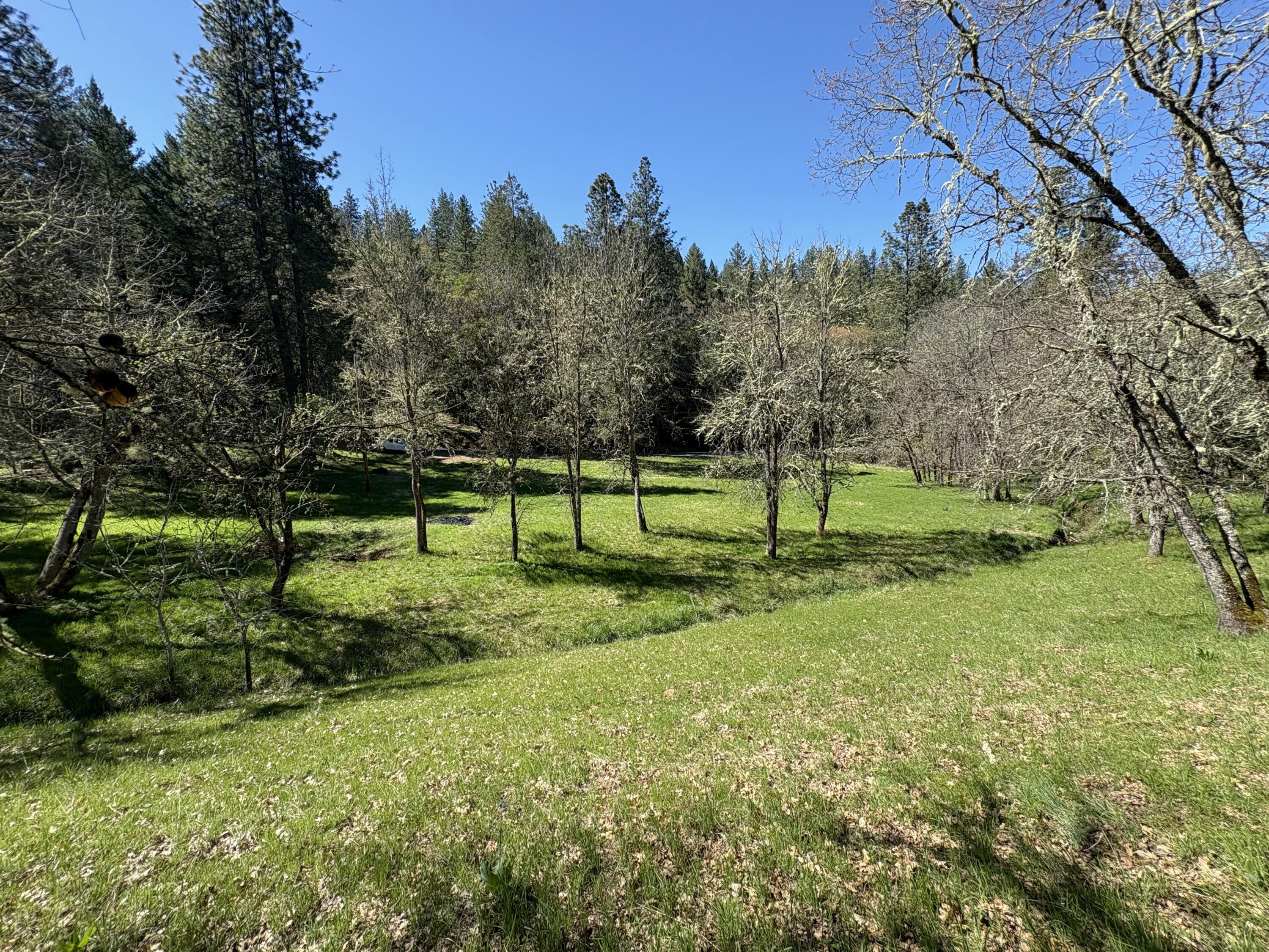 1237 Daisy Creek Road