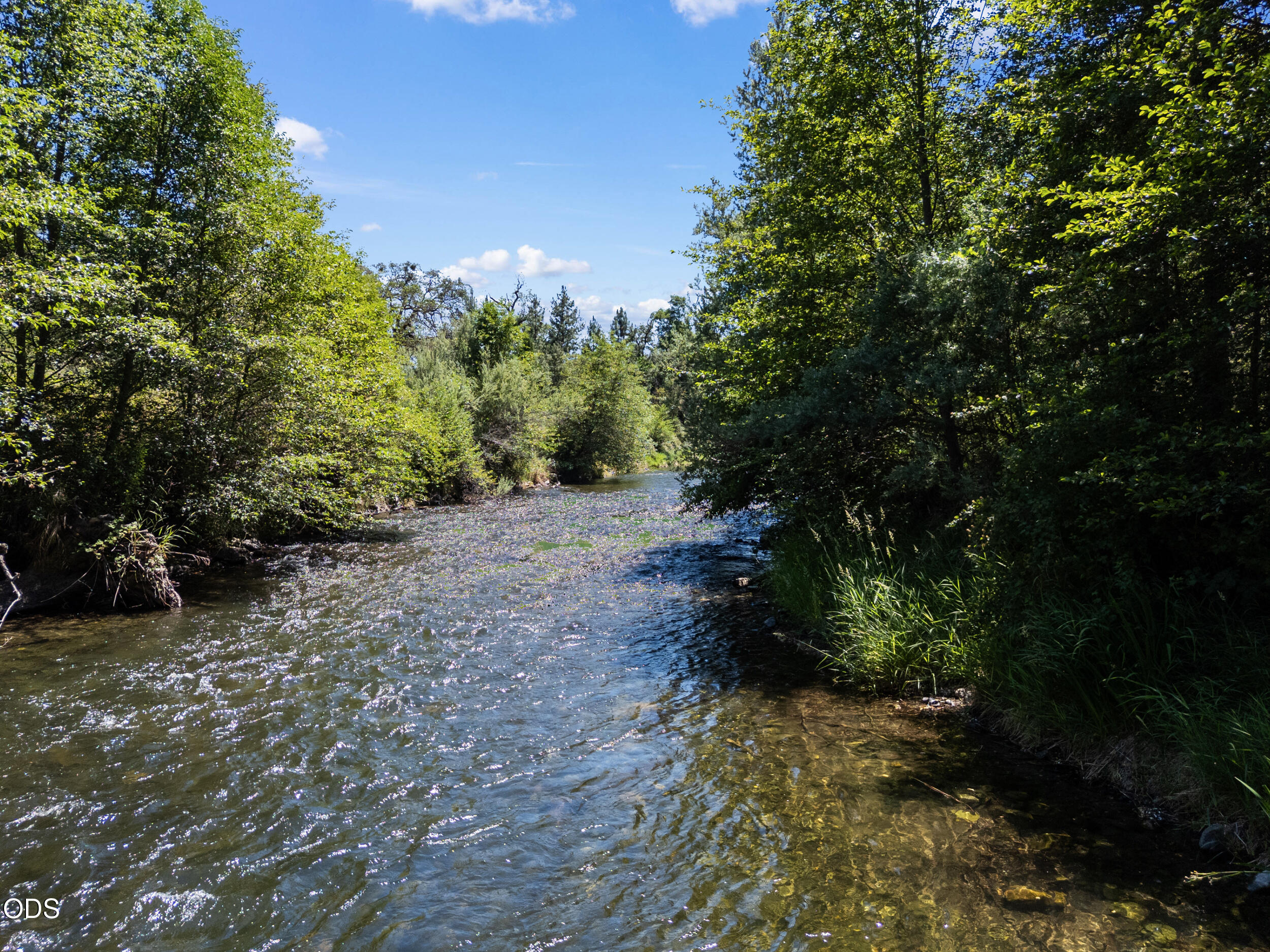 3550 Upper Applegate Road
