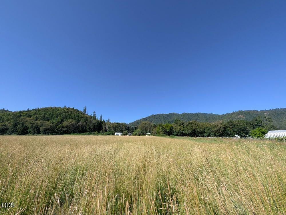 3745 Rogue River Highway