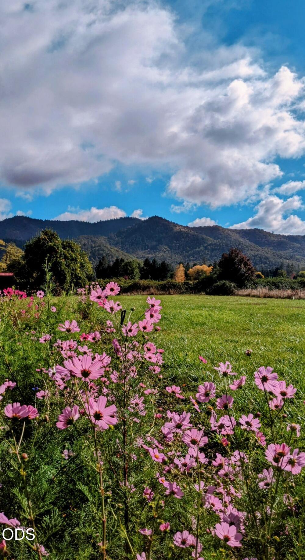 3745 Rogue River Highway