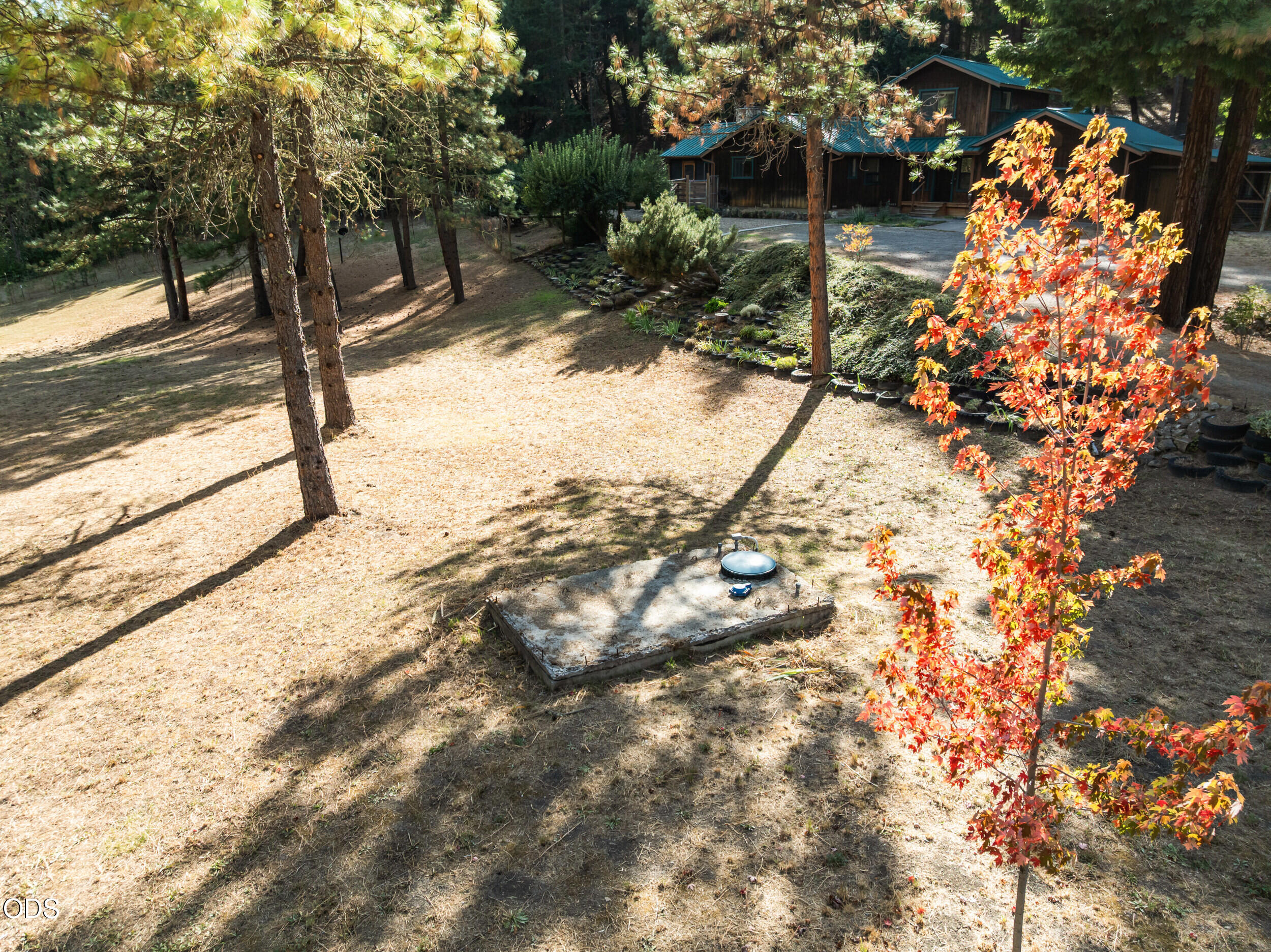 Wooded cabin and dry yard with a stone-edged water feature and vivid autumn tree.