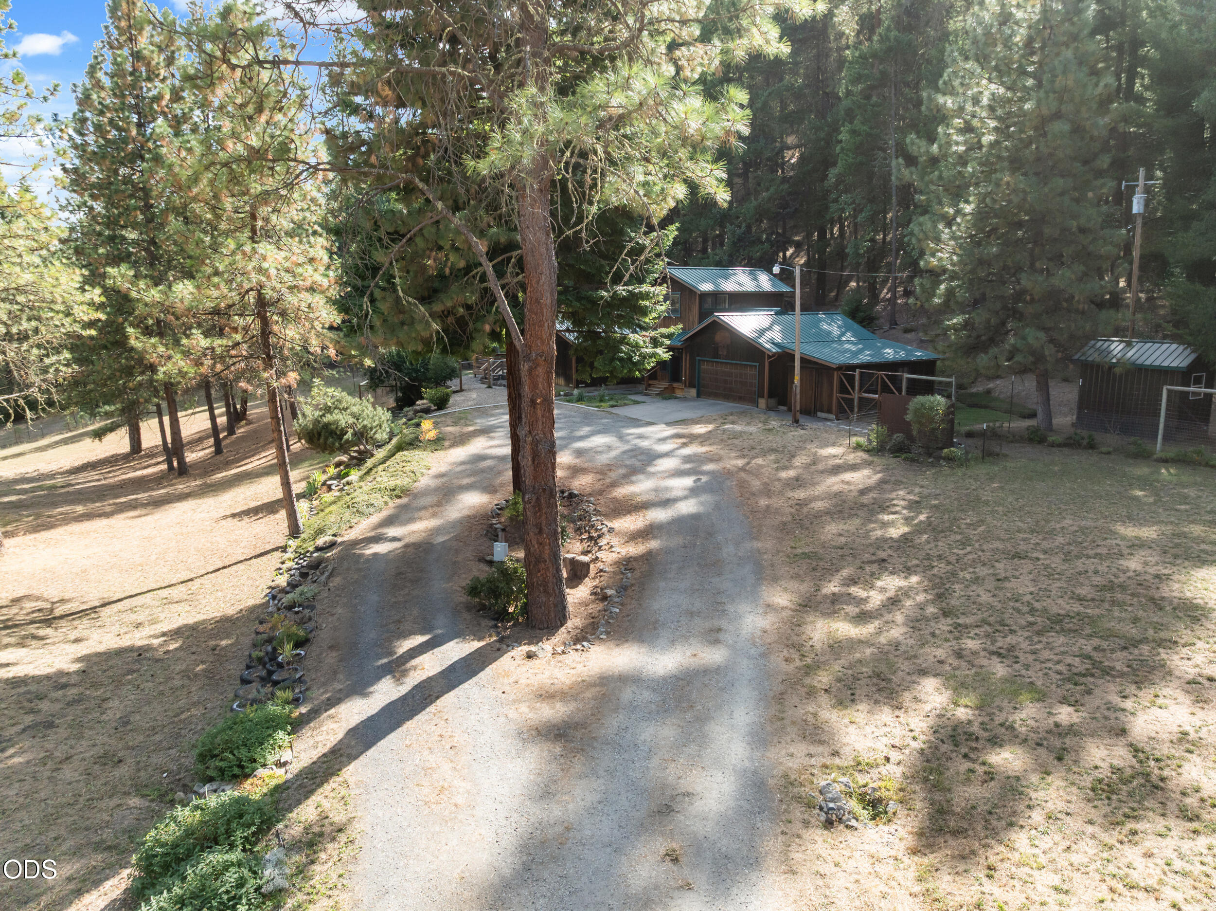 Wood-sided home with a metal roof among pine trees, viewed above its gravel driveway.