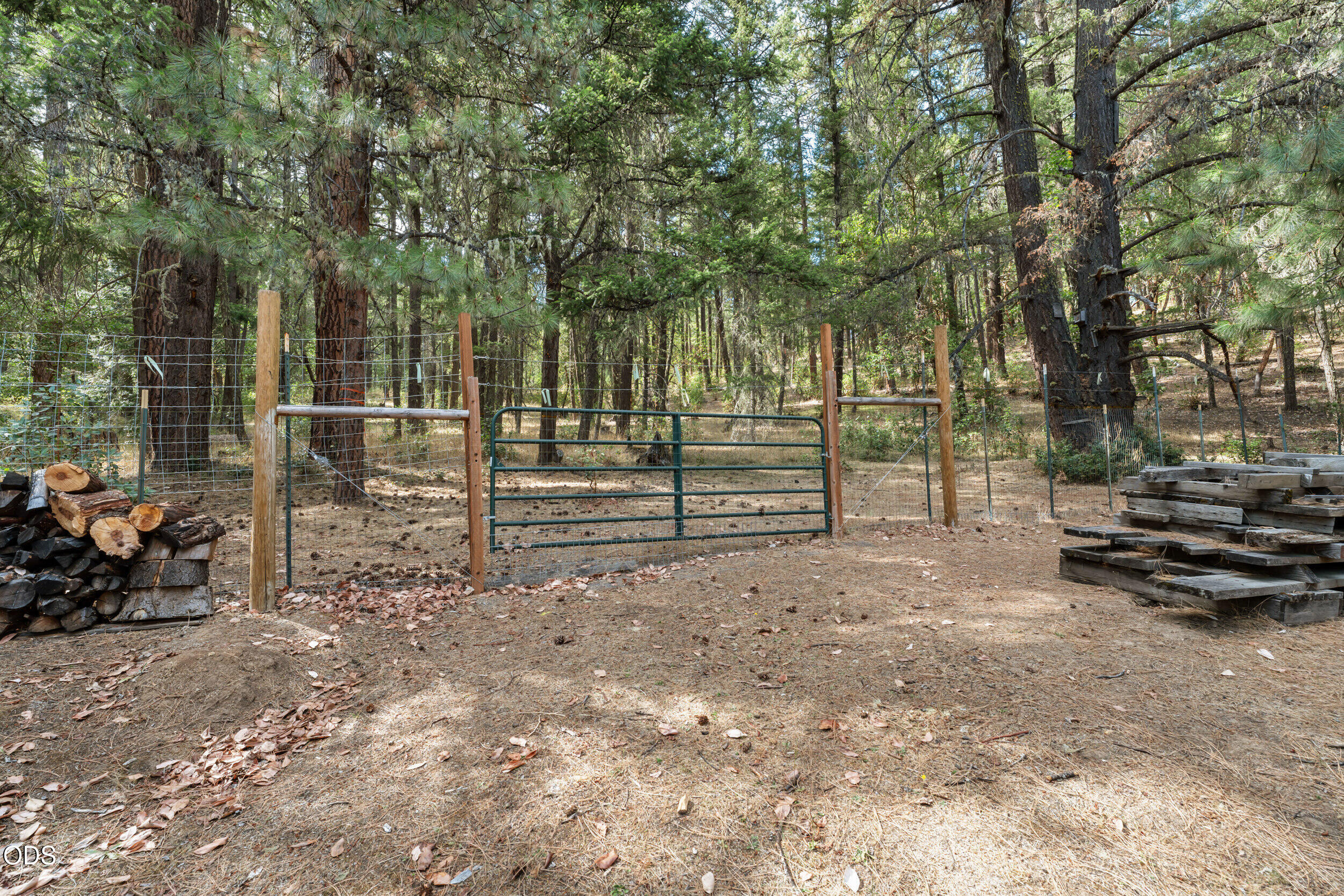 Wooded property clearing with a green metal gate, wire fencing, and stacked firewood.