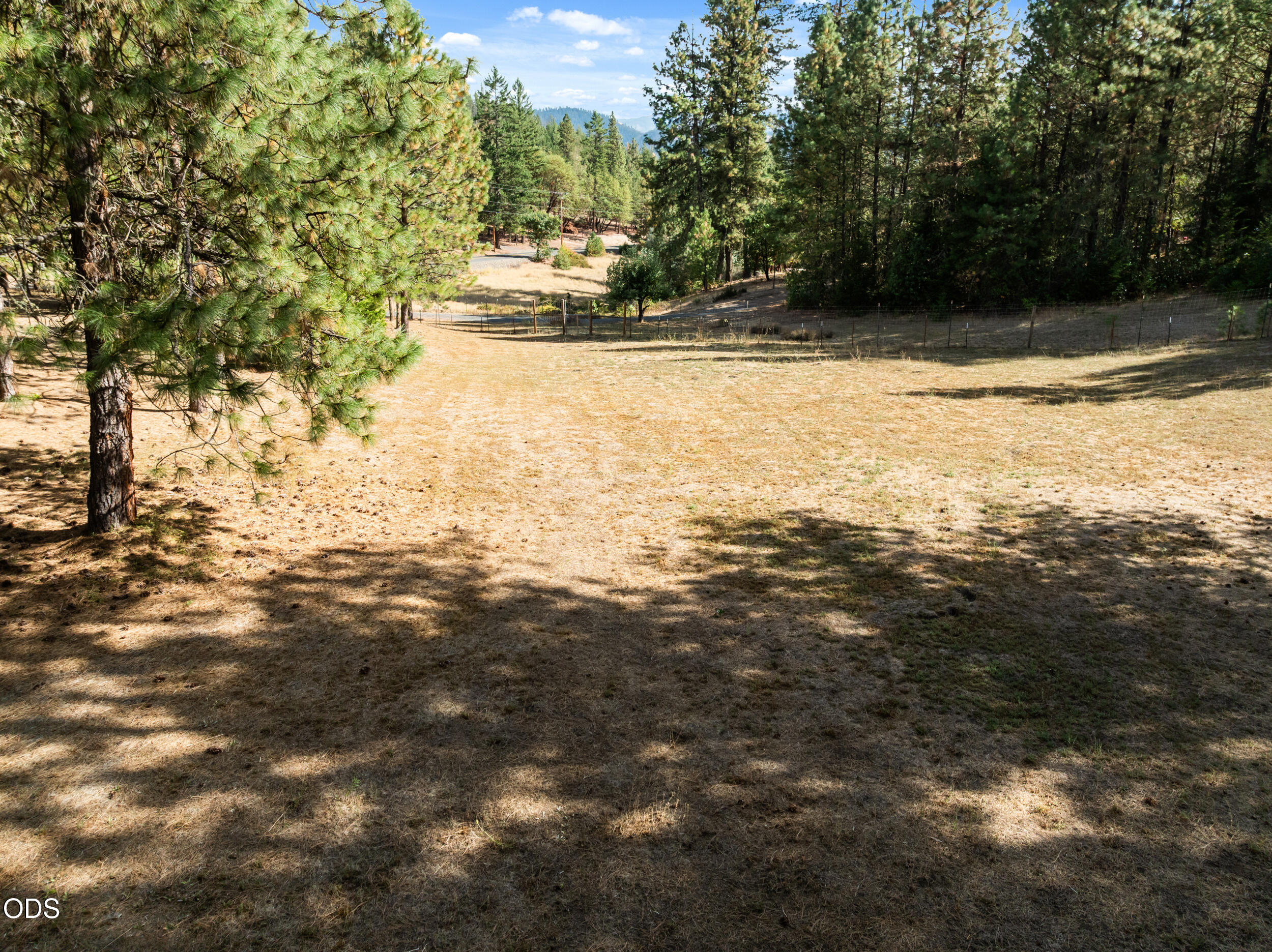 Grassy clearing bordered by pines and fencing, with distant mountain views.