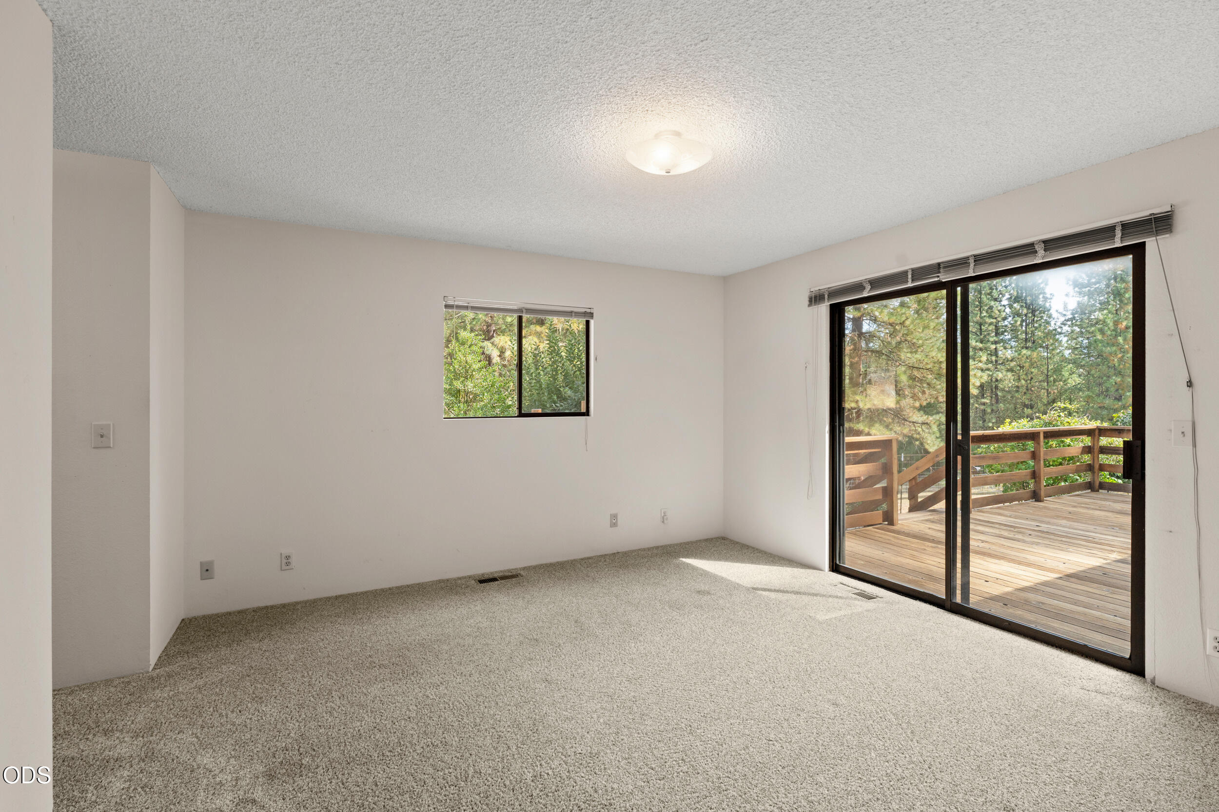 Empty carpeted room with a sliding glass door opening onto a wooden deck among trees.