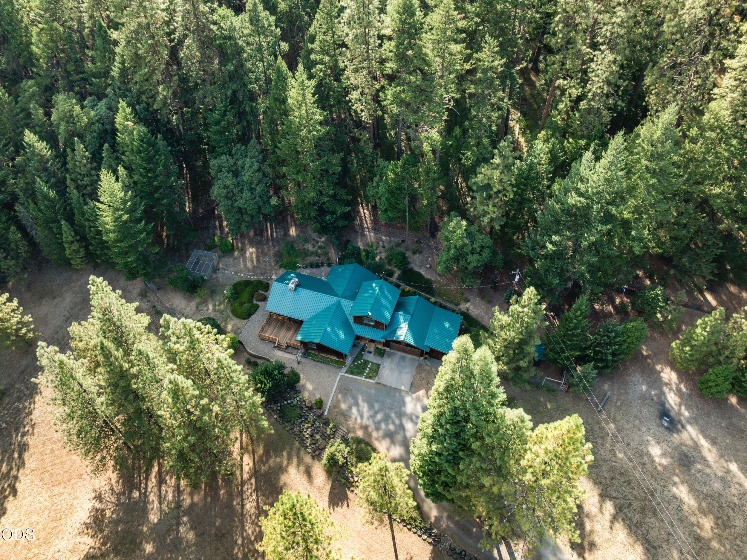 Aerial view of a teal-roofed home nestled among tall trees, with a wooden deck and driveway.