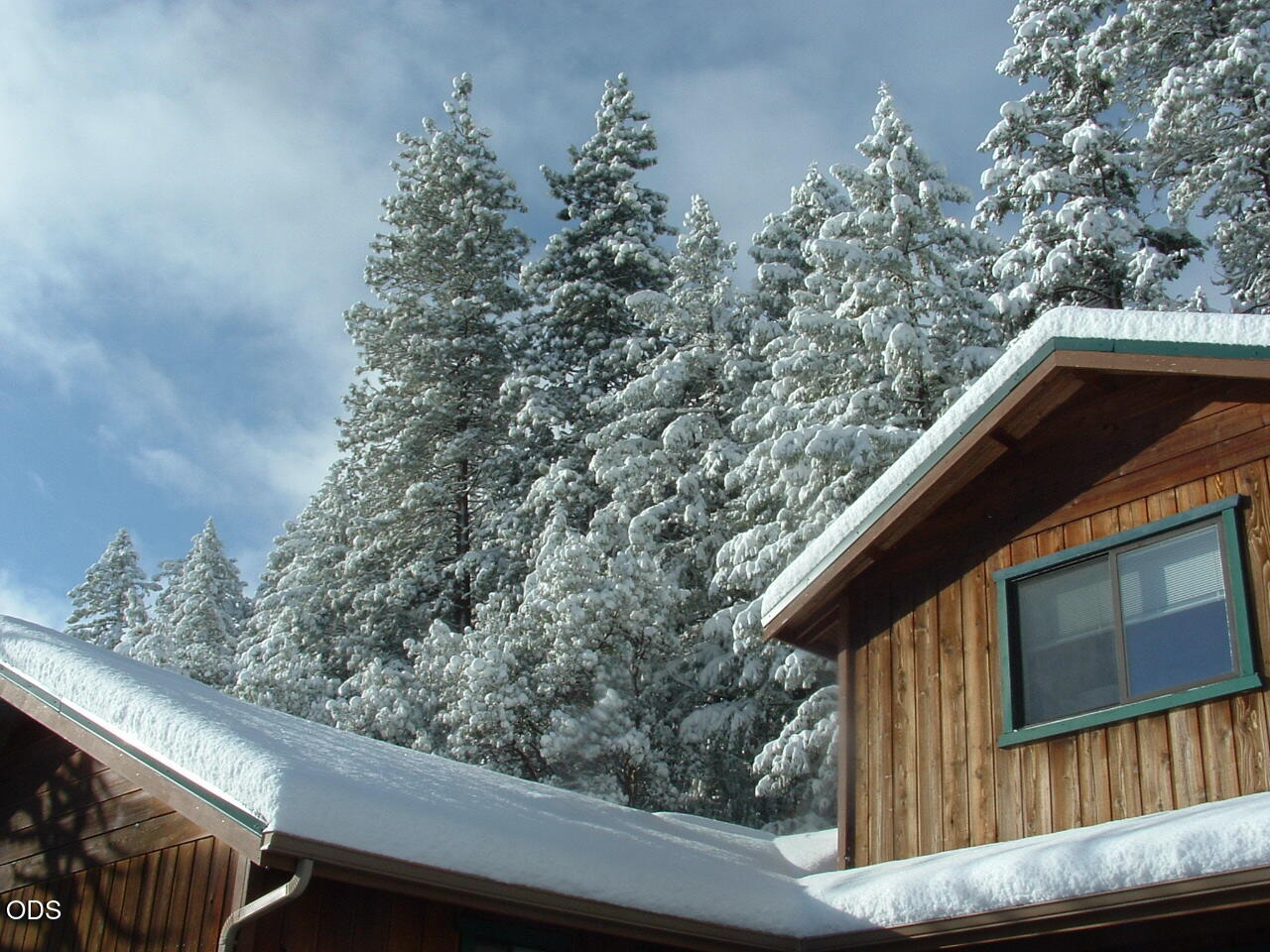 Wooden home with snow-covered roofs beneath snow-laden evergreen trees.