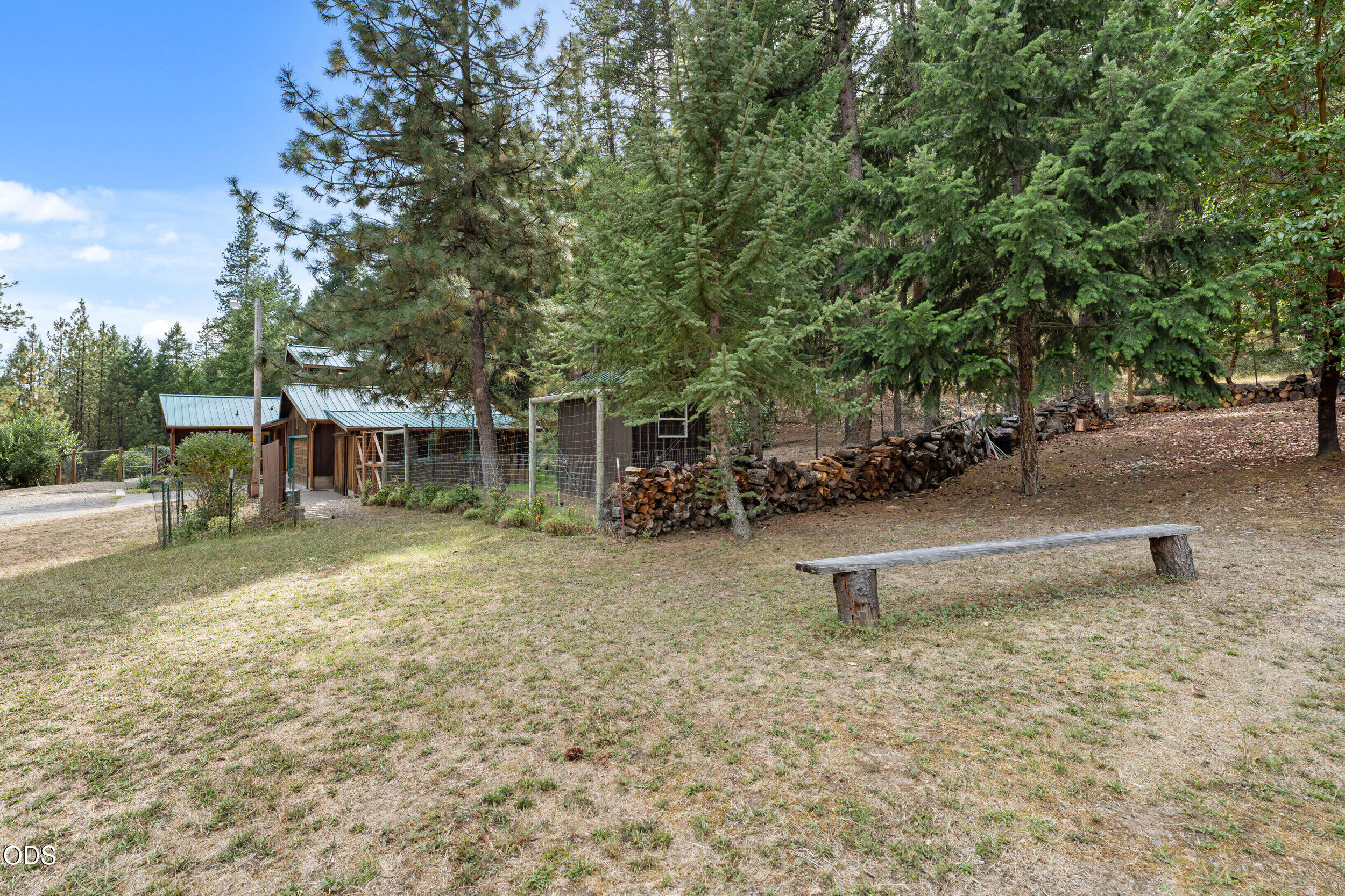 Rural property buildings among evergreens, with stacked firewood and a wooden bench in the yard.