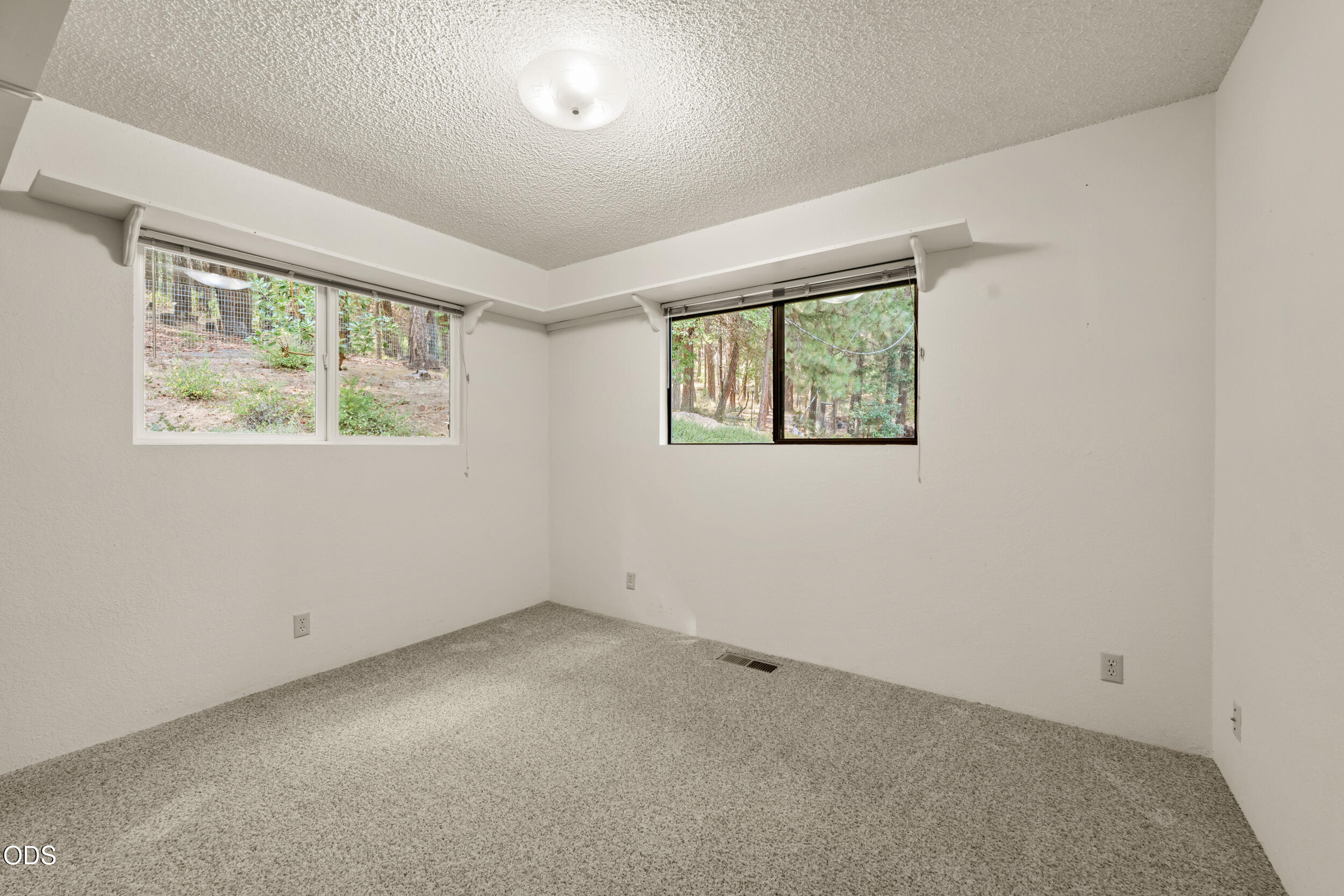 Vacant carpeted room with two windows overlooking trees and a ceiling light.