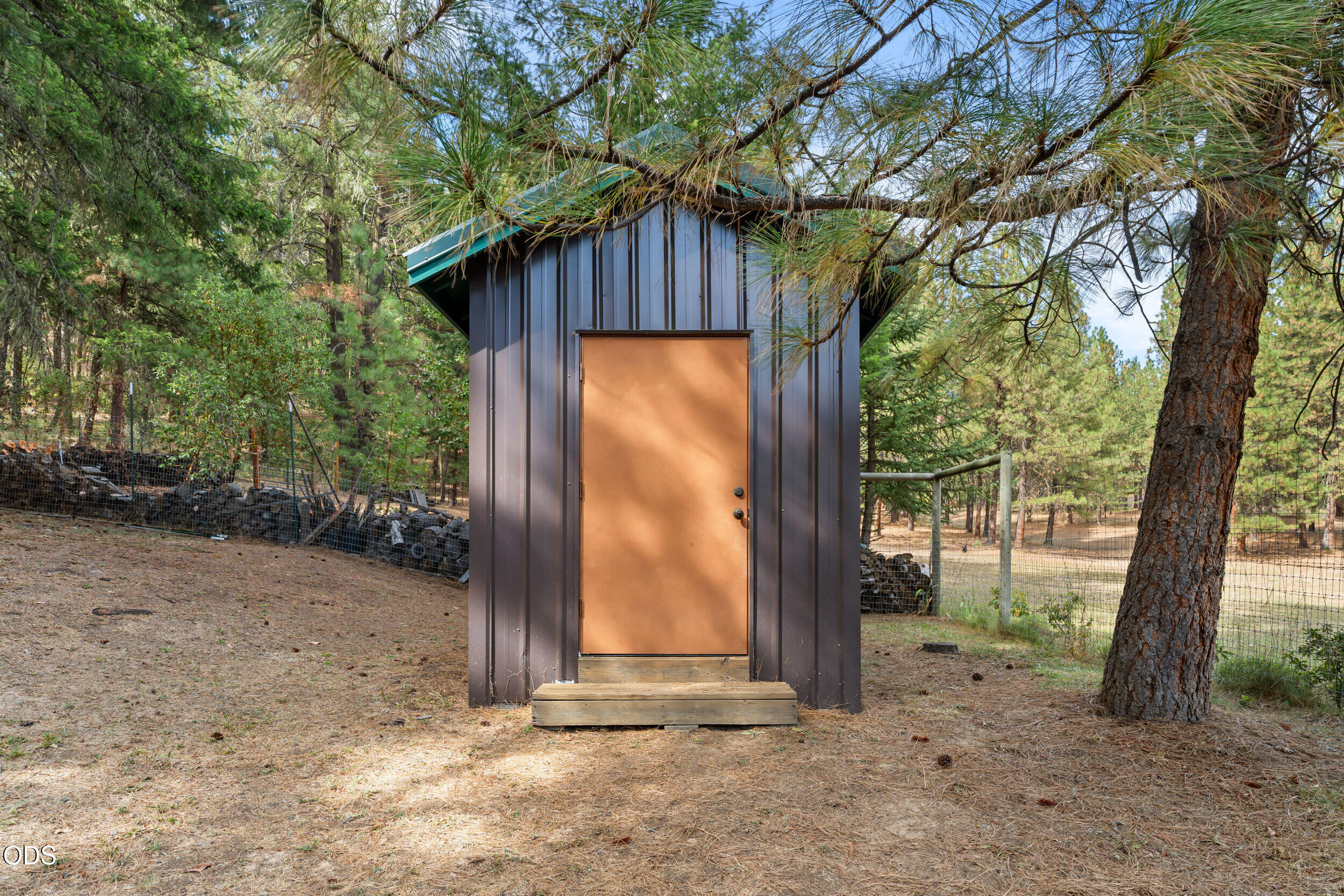 Small metal-clad outbuilding with a copper-colored door among pine trees.