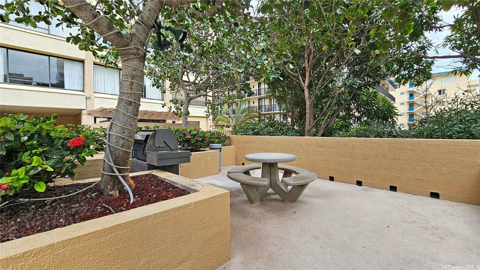 2215 Aloha Drive DH405