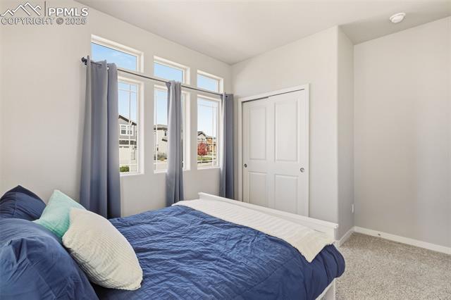 6541 Stonefly Drive