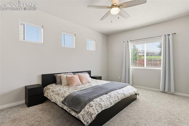 6541 Stonefly Drive