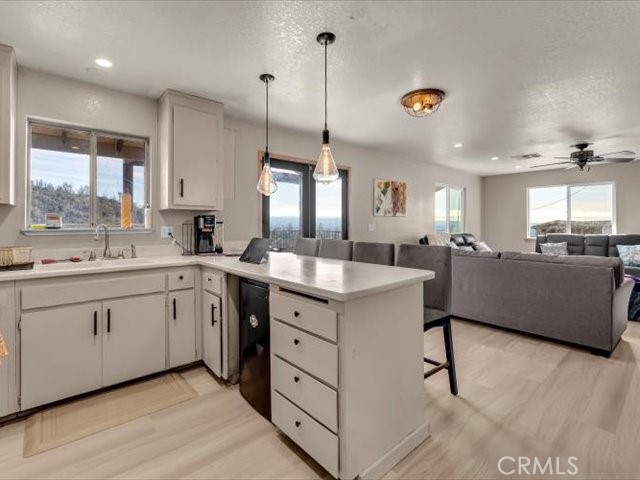 14091 Highview Trail