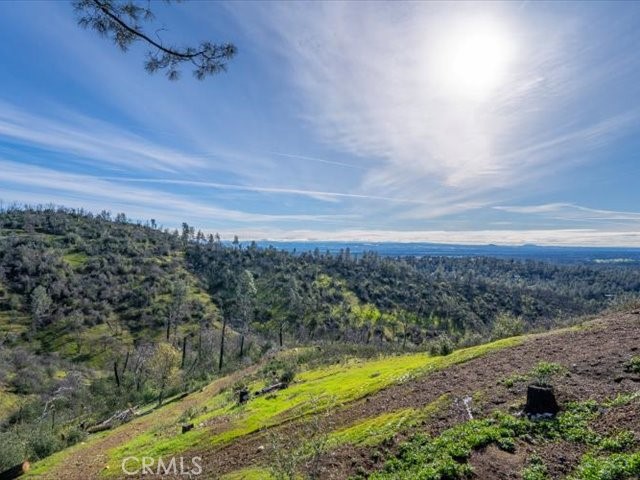 14091 Highview Trail