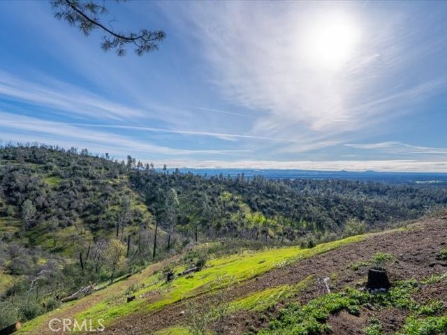 14091 Highview Trail