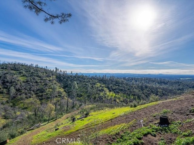 14091 Highview Trail