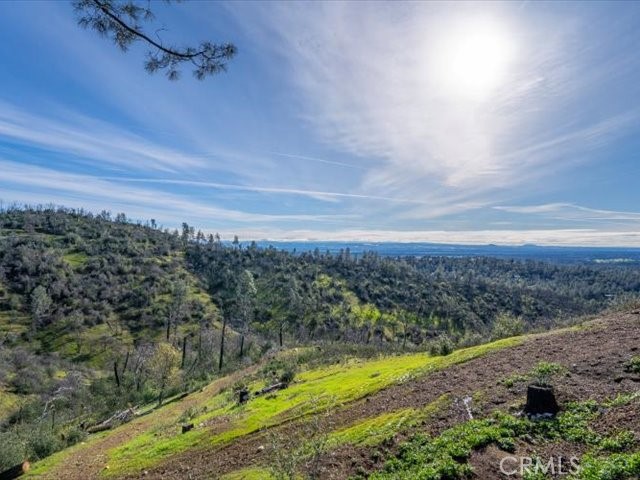 14091 Highview Trail