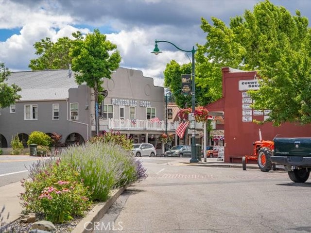 271 Thistle