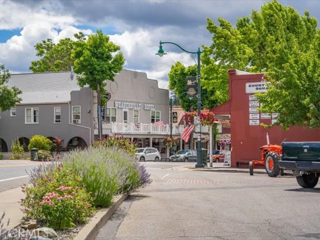 271 Thistle