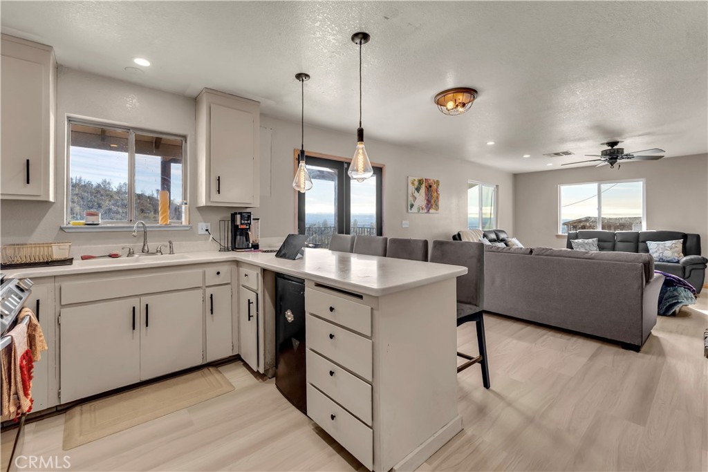 14091 Highview Trail
