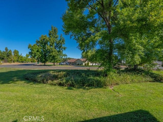 3212 Ark Way