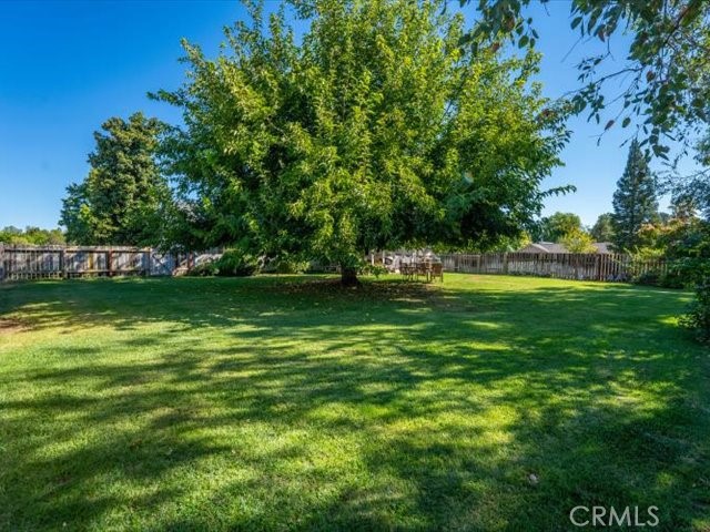 3212 Ark Way