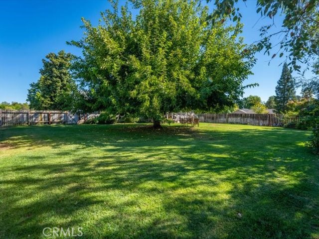 3212 Ark Way