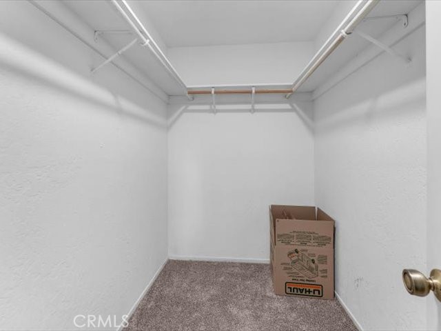 15220 China Rapids Drive