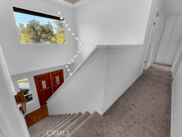 15220 China Rapids Drive